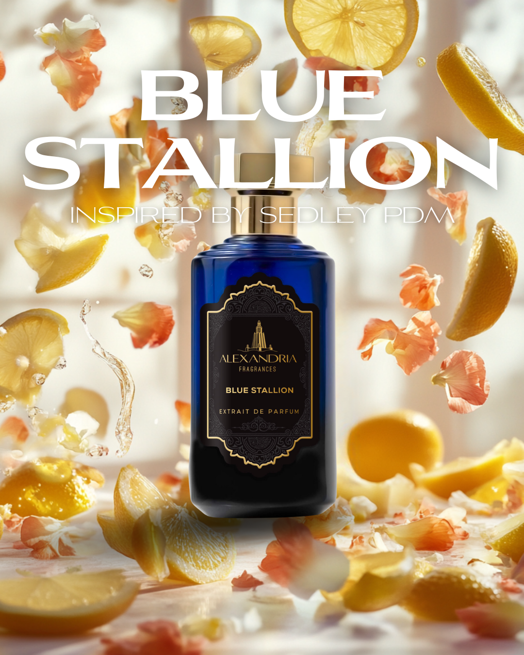Exclusive Fragrance Bundle – Choose Your Perfect Trio 30ML