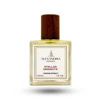 New Arrival! Stellar Moments Inspired by Louis Vuitton Stellar Times -  Alexandria Fragrances